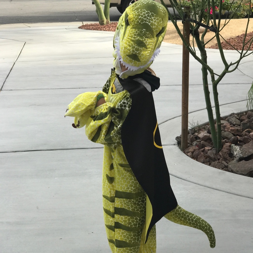 Dinosaur costume 4-6 years. Lightly worn